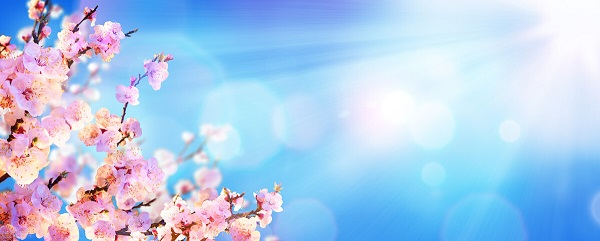 戰(zhàn)疫情，北京韋林公司全體員工齊心協(xié)力共克時(shí)艱！